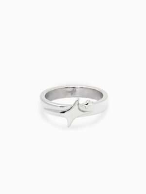 Signature ring argentée