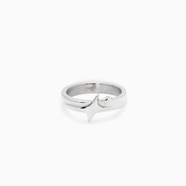 Signature ring argentée