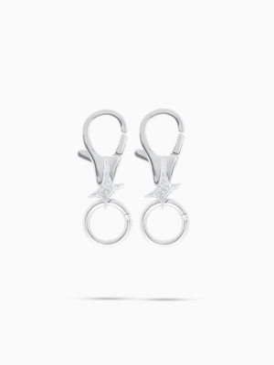Carabiner Signature Argenté (x2)