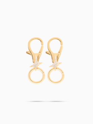Carabiner Signature Doré (x2)