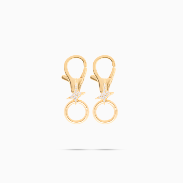 Carabiner Signature Doré (x2)