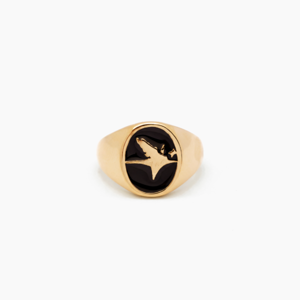 Eagle signet ring dorée – Make it Shine