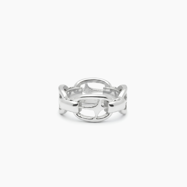 H-ring signature argentée